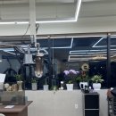 경진헤어미용실 네이버블로그