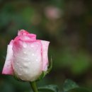 바람과구름