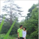 계곡의아침 이미지