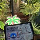 인동32길-12 이미지