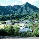 방하목 Daum카페