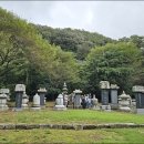 솔밭농장 | 9/20(토) 고창 선운사 꽃무릇 고창읍성 여행 후기