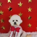 땡자네 묭실 이미지