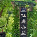 바닷가에 산장 | 포항가볼만한곳 산 속 운치좋은 숲뷰 카페 선류산장