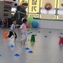 타이거 유치부 태권도 전용관 이미지