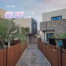 귤나방 이미지
