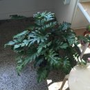 만수 목장 이미지