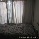 대청2호 태양광 | 다시, 새해맞이(2026.2.16)ㅡ산 넘어 탄천을 달리다