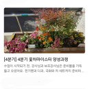 꽃차마이스터양성과정 이미지