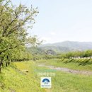 강하체육공원(테니스장) 이미지