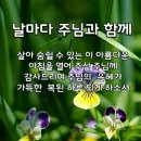 에서