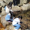 작은복골 이미지