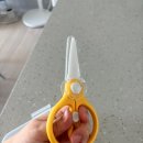 가위소리 | 글라스락 베이비 휴대용 가위 집게 세트 내돈내산 후기