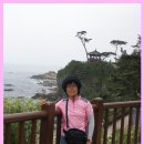 의상대 이미지