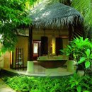 숲속풍경 이미지