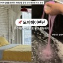 제주펜션 모이헤이 이미지