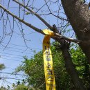 능내2리 마을회관 이미지