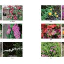 새싹발트유치원 이미지