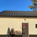 도그프리덤 이미지