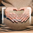 글씨교정(펜글씨)자격대비 | 예비맘 필독! 산후조리원 똑똑하게 고르는 법 (비용, 시설, 정부 지원 총정리)