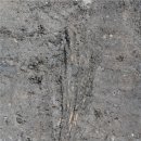 광주 신창동 유적 이미지