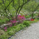 전주이야기펜션 이미지