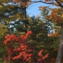 천지미인 백두산 이미지