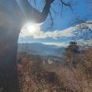 소초농업협동조합 장양지점 | 높은절산~시거리산~대왕산~석달봉~일잔산~검성~솟대백이 25.01.25