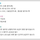 플라자CC 설악