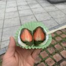 여수생딸기모찌 이미지