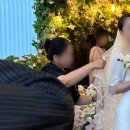 이모텍스 | 본식 꽃가마웨딩컨시어지서비스 향단이헬퍼 도로시이모님 후기 [내돈내산]