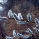 고향에봄 이미지