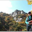 하나동산