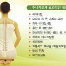 천안 신부동 나래한의원 : 추나요법의 활용범위 이미지