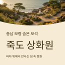 충남 보령 가볼만한곳｜‘죽도 상화원’, 바다 위에서 만나는 섬 속 정원
