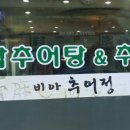 비아추어정