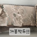 주식회사 씨케이 | 진비책 ‘더 씨케이 컴파운드케이 30’ 흡수율 up 홍삼효소