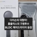 모터플러스 | 홈플러스몰 극가성비 인썸 bldc 헤어드라이어 구매 후기