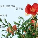 보고 있어도 보고싶은 그대/두 안 이미지