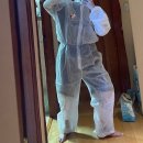 다듬이 셀프 크리닝 | 먼지 다듬이, 좀벌레 퇴치 일기, 6달 간의 셀프 방역, 훈증 | 로보킬, 비오킬 내돈내산 후기