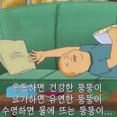 크로스핏디짐 이미지