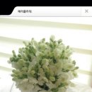 향기나는다락방