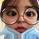 몽브로우