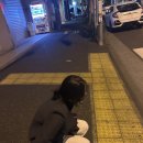 농민미트