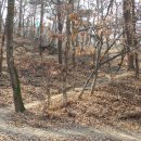 무실신도시주유소 이미지