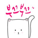 (주)우진메디 이미지