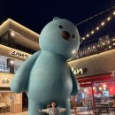 스시바다 | 광주회전초밥 진월동 보이저 스시바다 후기