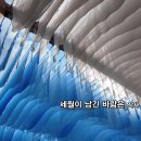 포크 발라드_윤기영 시인의 세월이 남긴 바람은_31집_작 편곡 수노_기획 윤기영 이미지