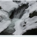 곰배령스케치 이미지