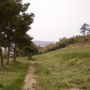유채와바다